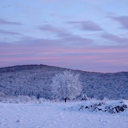 Peace Valley - Dolina Mira Janja Gora エクステリア 写真