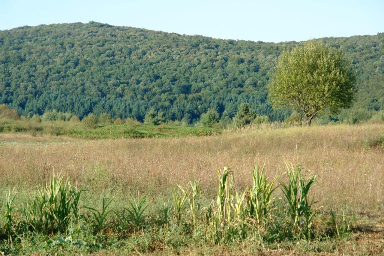 Peace Valley - Dolina Mira Janja Gora エクステリア 写真