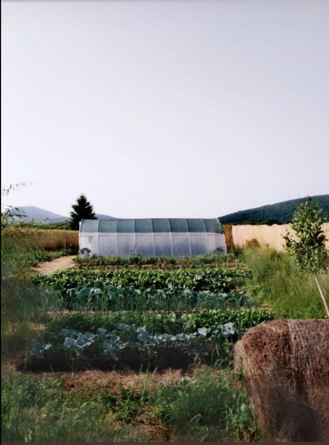 Peace Valley - Dolina Mira Janja Gora エクステリア 写真