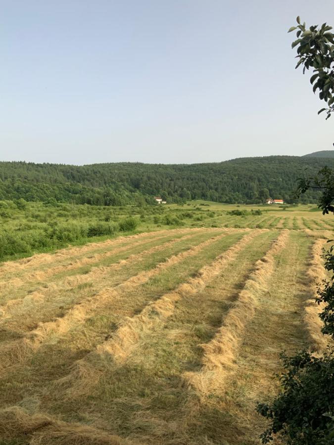 Peace Valley - Dolina Mira Janja Gora エクステリア 写真