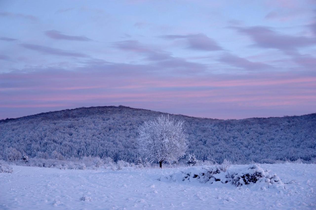 Peace Valley - Dolina Mira Janja Gora エクステリア 写真